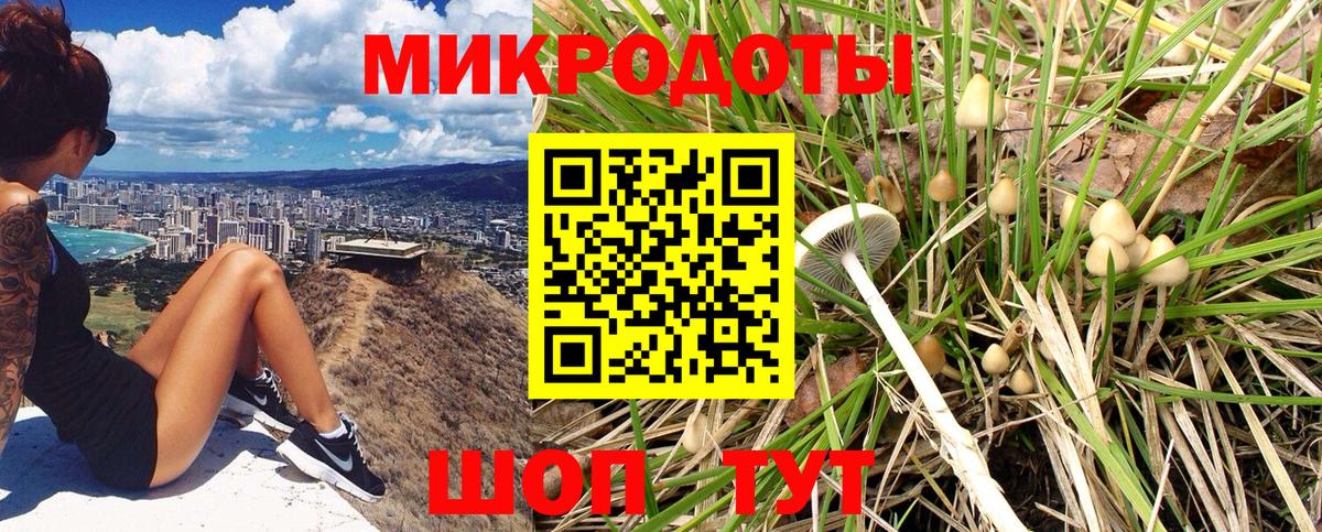 Псилоцибиновые грибы мицелий  Вход с VPN  Холмск 